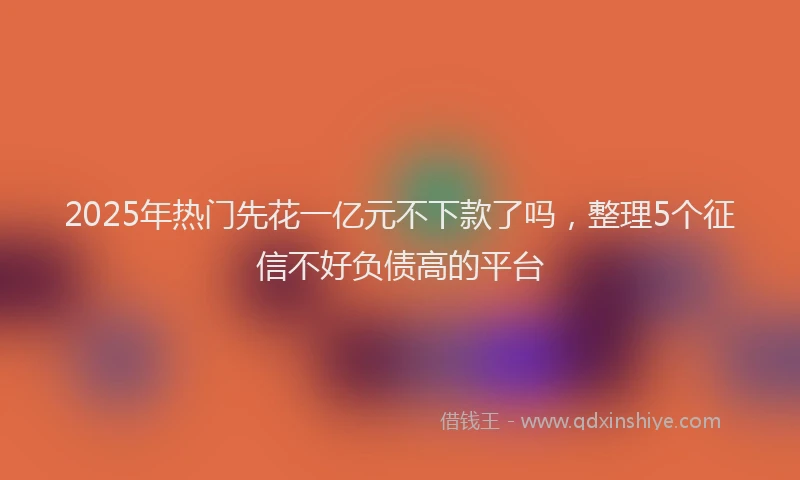 2025年热门先花一亿元不下款了吗，整理5个征信不好负债高的平台