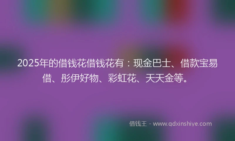2025年的借钱花借钱花有：现金巴士、借款宝易借、彤伊好物、彩虹花、天天金等。