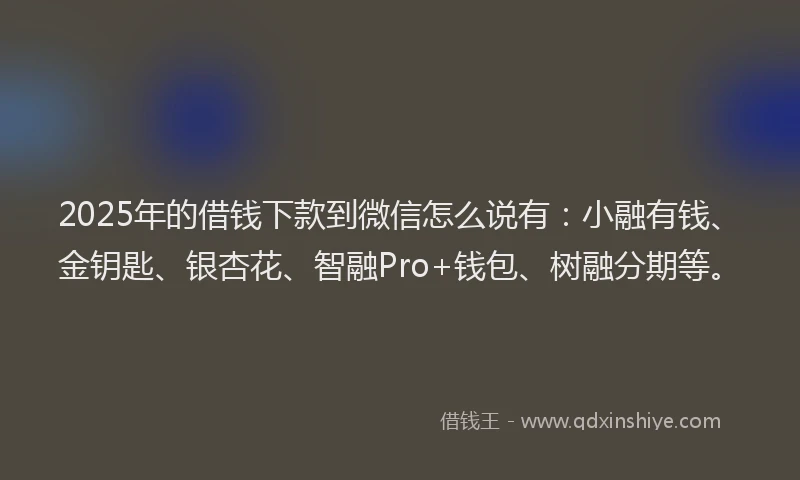 2025年的借钱下款到微信怎么说有：小融有钱、金钥匙、银杏花、智融Pro+钱包、树融分期等。