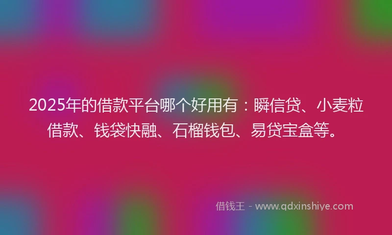 2025年的借款平台哪个好用有：瞬信贷、小麦粒借款、钱袋快融、石榴钱包、易贷宝盒等。
