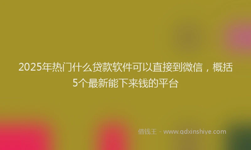2025年热门什么贷款软件可以直接到微信，概括5个最新能下来钱的平台