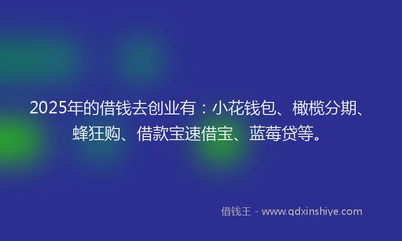 2025年的借钱去创业有：小花钱包、橄榄分期、蜂狂购、借款宝速借宝、蓝莓贷等。