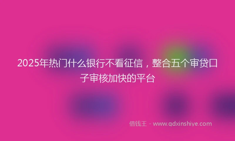 2025年热门什么银行不看征信，整合五个审贷口子审核加快的平台