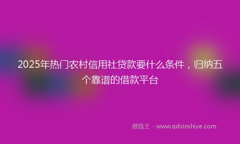 2025年热门农村信用社贷款要什么条件，归纳五个靠谱的借款平台