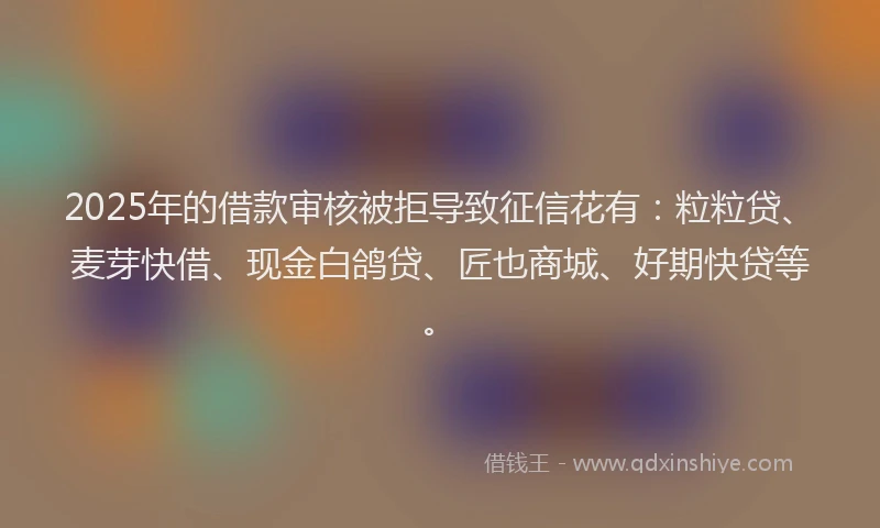 2025年的借款审核被拒导致征信花有：粒粒贷、麦芽快借、现金白鸽贷、匠也商城、好期快贷等。