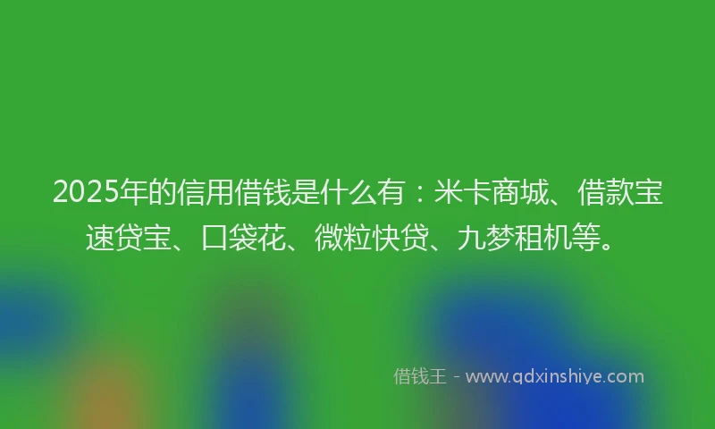 2025年的信用借钱是什么有：米卡商城、借款宝速贷宝、口袋花、微粒快贷、九梦租机等。