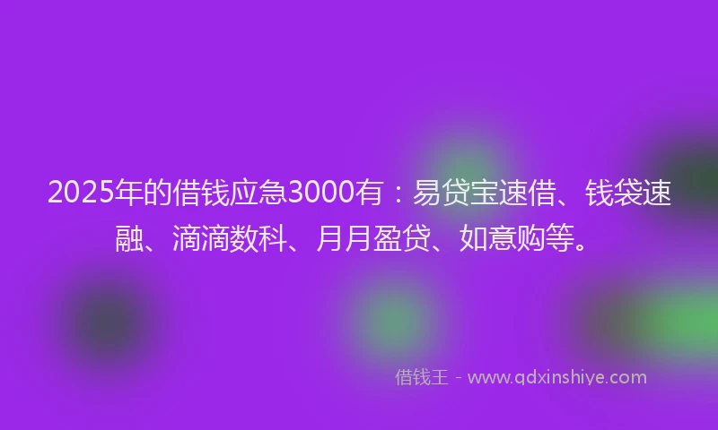 2025年的借钱应急3000有：易贷宝速借、钱袋速融、滴滴数科、月月盈贷、如意购等。