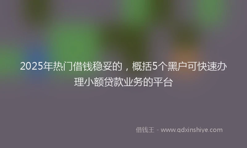 2025年热门借钱稳妥的，概括5个黑户可快速办理小额贷款业务的平台