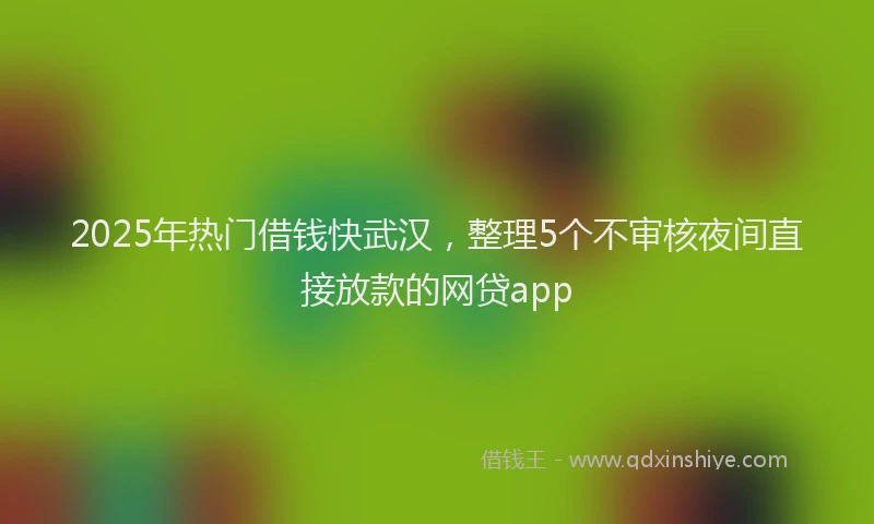 2025年热门借钱快武汉，整理5个不审核夜间直接放款的网贷app