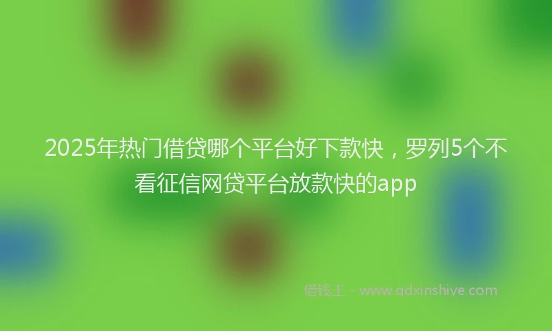 2025年热门借贷哪个平台好下款快，罗列5个不看征信网贷平台放款快的app