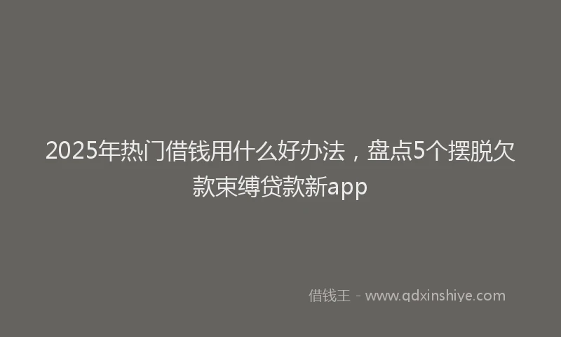 2025年热门借钱用什么好办法，盘点5个摆脱欠款束缚贷款新app