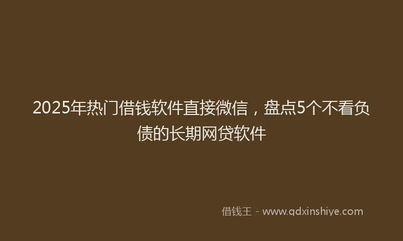 2025年热门借钱软件直接微信，盘点5个不看负债的长期网贷软件