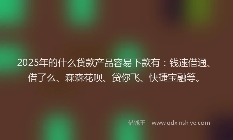 2025年的什么贷款产品容易下款有：钱速借通、借了么、森森花呗、贷你飞、快捷宝融等。