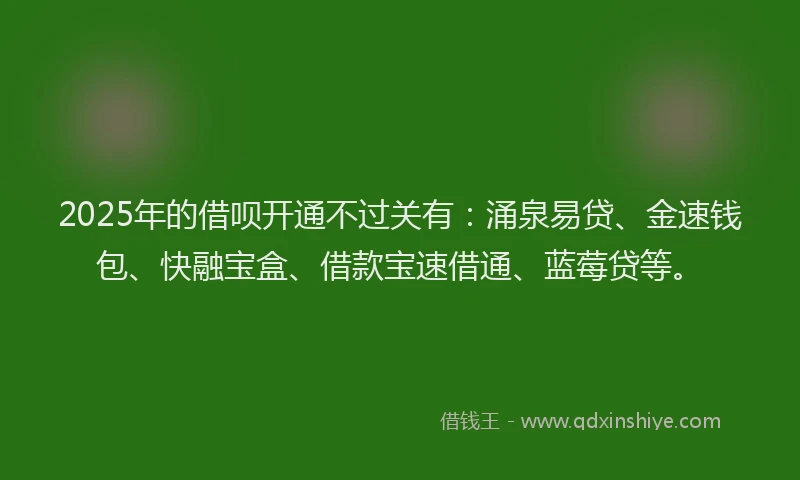 2025年的借呗开通不过关有：涌泉易贷、金速钱包、快融宝盒、借款宝速借通、蓝莓贷等。