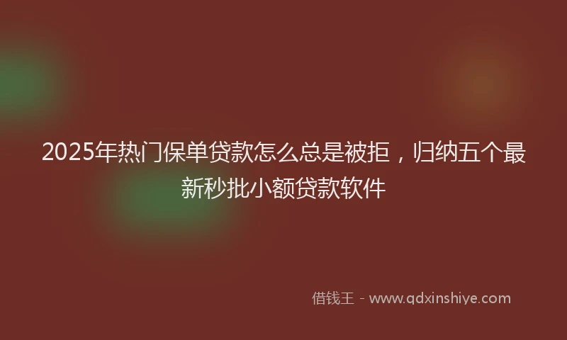 2025年热门保单贷款怎么总是被拒，归纳五个最新秒批小额贷款软件