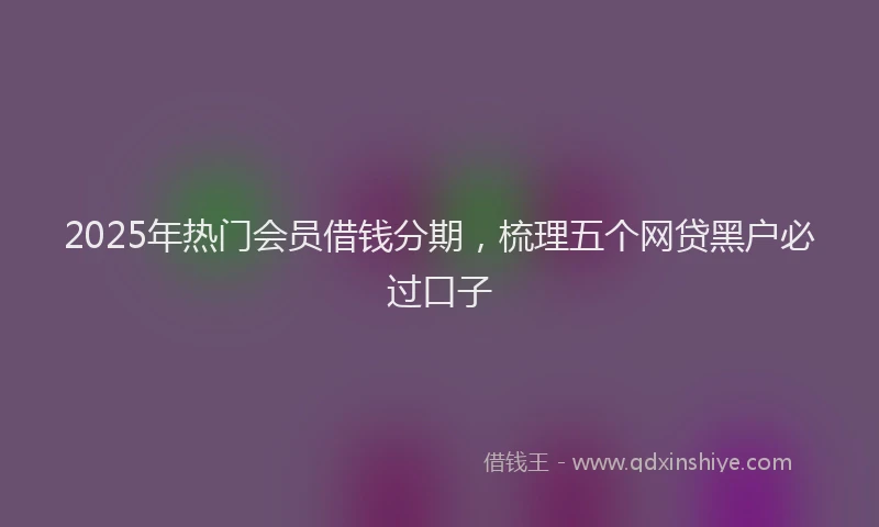 2025年热门会员借钱分期，梳理五个网贷黑户必过口子