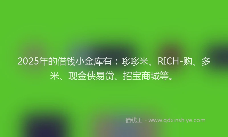 2025年的借钱小金库有：哆哆米、RICH-购、多米、现金侠易贷、招宝商城等。