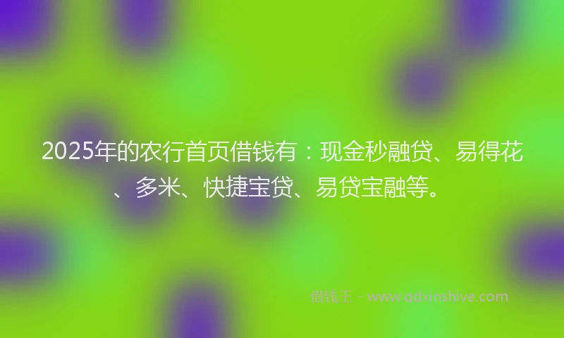 2025年的农行首页借钱有：现金秒融贷、易得花、多米、快捷宝贷、易贷宝融等。