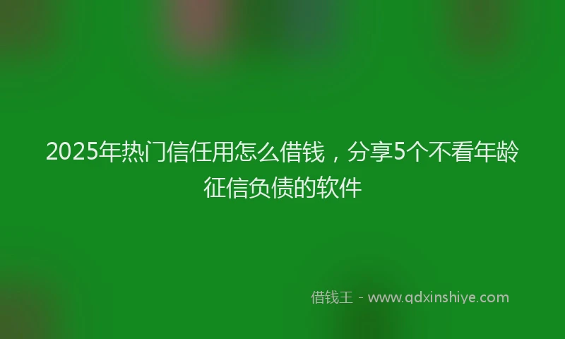 2025年热门信任用怎么借钱，分享5个不看年龄征信负债的软件