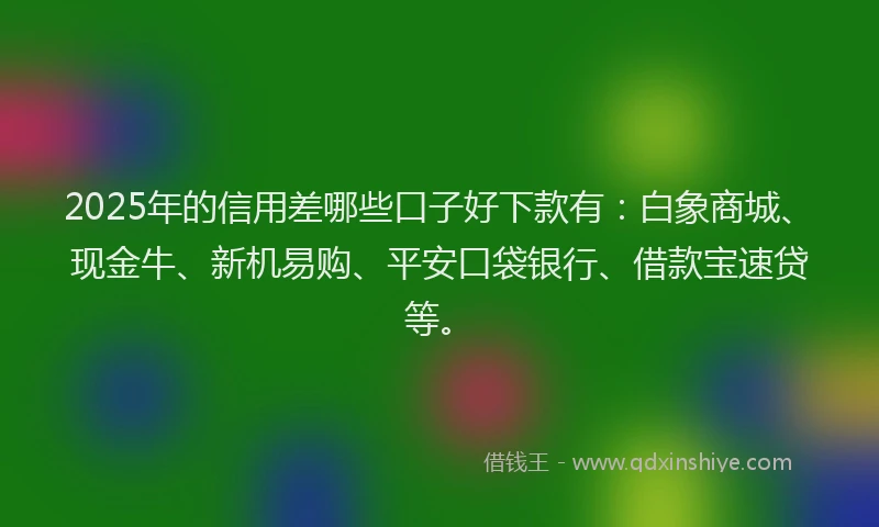 2025年的信用差哪些口子好下款有：白象商城、现金牛、新机易购、平安口袋银行、借款宝速贷等。