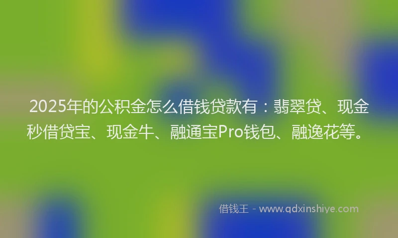 2025年的公积金怎么借钱贷款有：翡翠贷、现金秒借贷宝、现金牛、融通宝Pro钱包、融逸花等。
