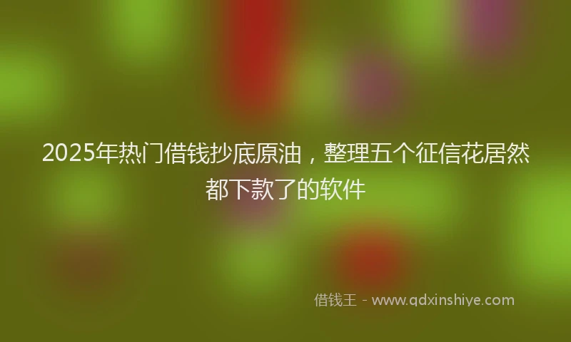 2025年热门借钱抄底原油，整理五个征信花居然都下款了的软件
