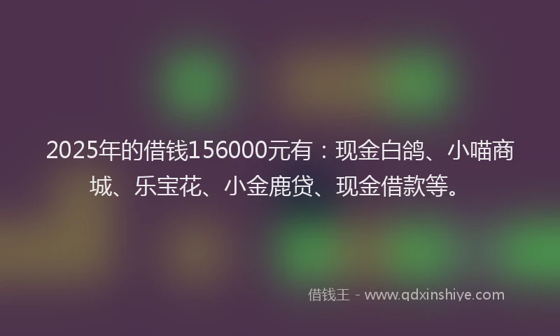 2025年的借钱156000元有：现金白鸽、小喵商城、乐宝花、小金鹿贷、现金借款等。