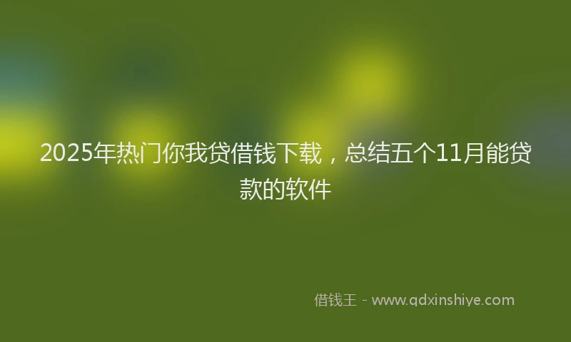 2025年热门你我贷借钱下载，总结五个11月能贷款的软件