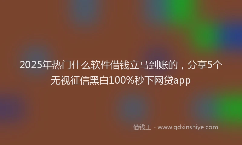 2025年热门什么软件借钱立马到账的，分享5个无视征信黑白100%秒下网贷app