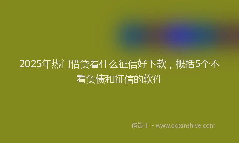 2025年热门借贷看什么征信好下款，概括5个不看负债和征信的软件