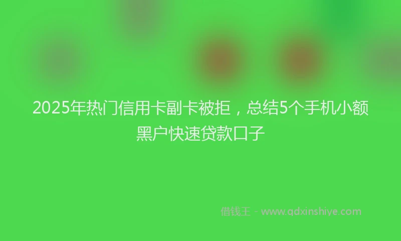 2025年热门信用卡副卡被拒，总结5个手机小额黑户快速贷款口子