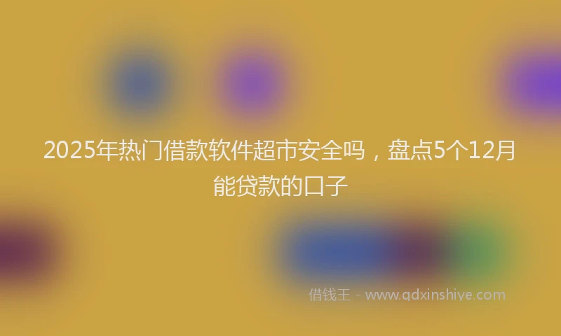 2025年热门借款软件超市安全吗，盘点5个12月能贷款的口子