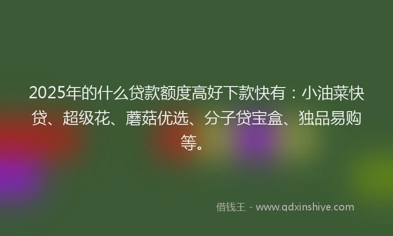 2025年的什么贷款额度高好下款快有：小油菜快贷、超级花、蘑菇优选、分子贷宝盒、独品易购等。