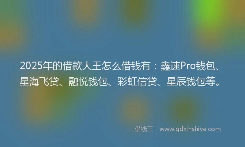 2025年的借款大王怎么借钱有：鑫速Pro钱包、星海飞贷、融悦钱包、彩虹信贷、星辰钱包等。