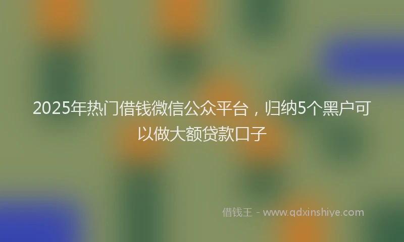 2025年热门借钱微信公众平台，归纳5个黑户可以做大额贷款口子