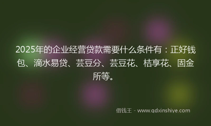 2025年的企业经营贷款需要什么条件有：正好钱包、滴水易贷、芸豆分、芸豆花、桔享花、固金所等。