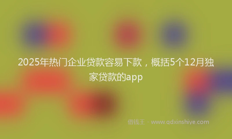 2025年热门企业贷款容易下款，概括5个12月独家贷款的app