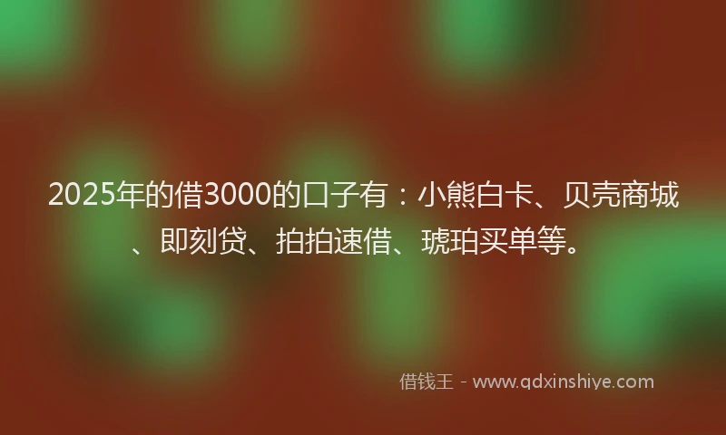 2025年的借3000的口子有：小熊白卡、贝壳商城、即刻贷、拍拍速借、琥珀买单等。