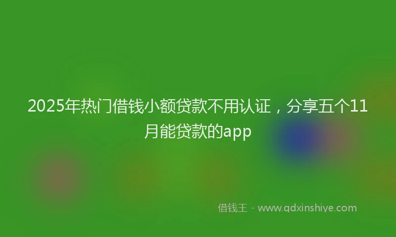 2025年热门借钱小额贷款不用认证，分享五个11月能贷款的app