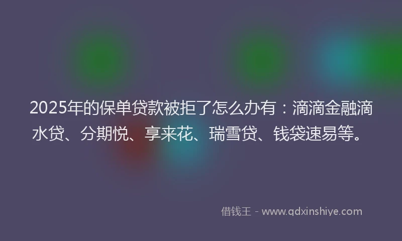 2025年的保单贷款被拒了怎么办有：滴滴金融滴水贷、分期悦、享来花、瑞雪贷、钱袋速易等。
