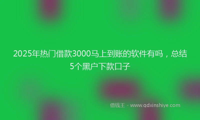 2025年热门借款3000马上到账的软件有吗，总结5个黑户下款口子