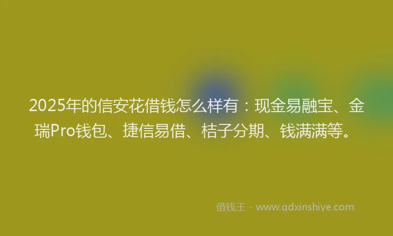 2025年的信安花借钱怎么样有：现金易融宝、金瑞Pro钱包、捷信易借、桔子分期、钱满满等。