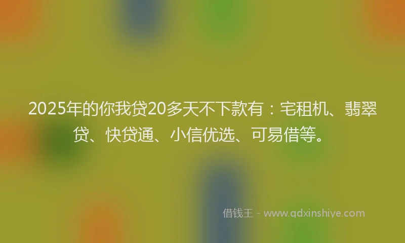 2025年的你我贷20多天不下款有：宅租机、翡翠贷、快贷通、小信优选、可易借等。