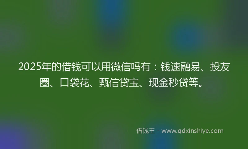 2025年的借钱可以用微信吗有：钱速融易、投友圈、口袋花、甄信贷宝、现金秒贷等。