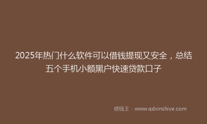 2025年热门什么软件可以借钱提现又安全，总结五个手机小额黑户快速贷款口子