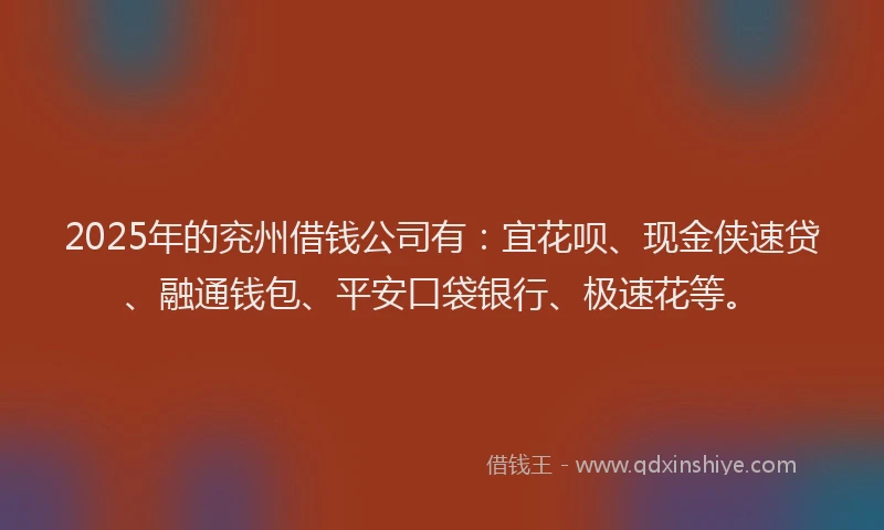 2025年的兖州借钱公司有：宜花呗、现金侠速贷、融通钱包、平安口袋银行、极速花等。