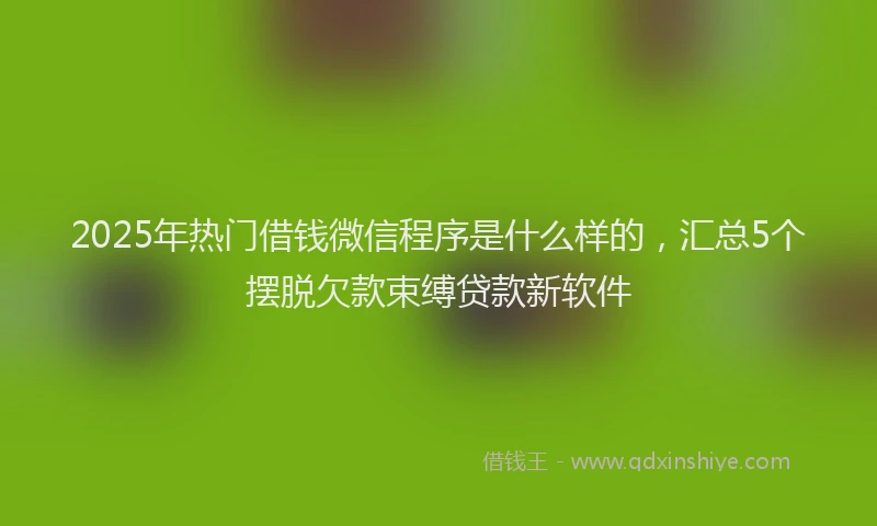 2025年热门借钱微信程序是什么样的，汇总5个摆脱欠款束缚贷款新软件