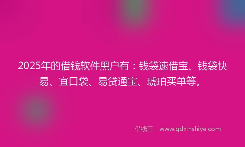 2025年的借钱软件黑户有：钱袋速借宝、钱袋快易、宜口袋、易贷通宝、琥珀买单等。