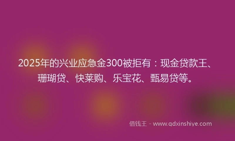 2025年的兴业应急金300被拒有：现金贷款王、珊瑚贷、快莱购、乐宝花、甄易贷等。