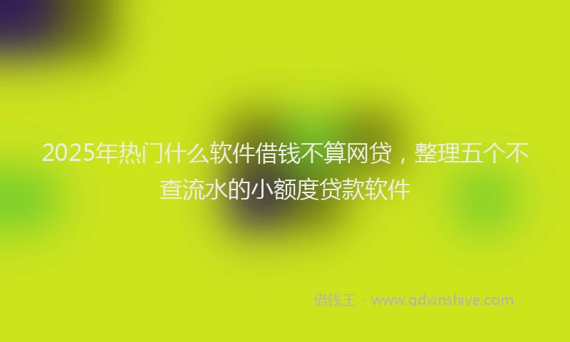 2025年热门什么软件借钱不算网贷，整理五个不查流水的小额度贷款软件